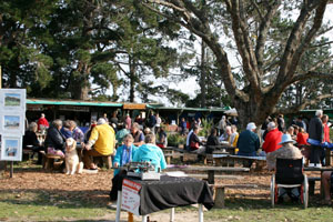 Harkerville Farmers Market
