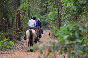 Horse Riding