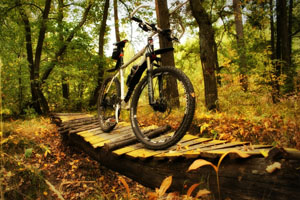 Mountain Biking